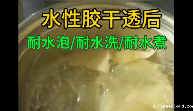 水性快干胶水_青岛水性快干胶水