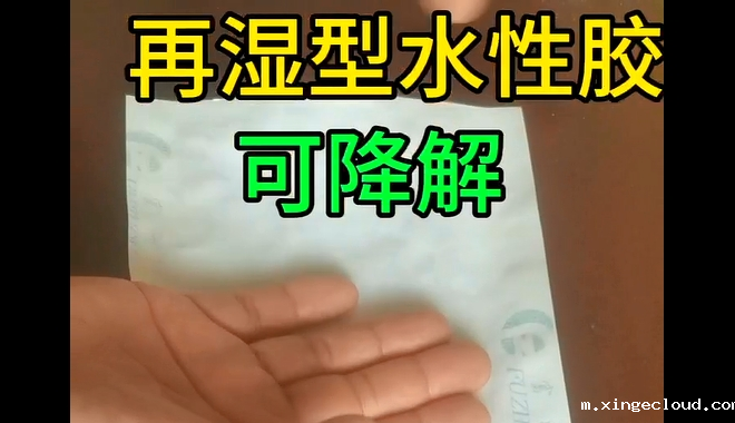 再湿型水性胶_青岛再湿型水性胶生产