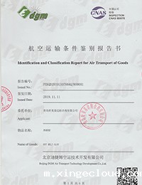 航空运输条件鉴别报告书-1.jpg